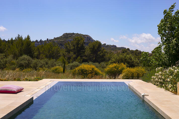 Fully Renovated Farmhouse with Heated Pool and Jacuzzi Mas des Baux: Swimming Pool - 12