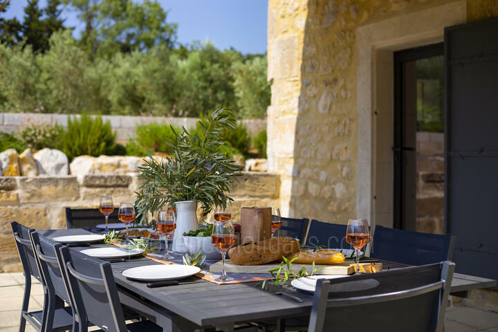 Gerenoveerde Provençaalse boerderij met airconditioning 3 - Mas Alpilles: Villa: Exterior