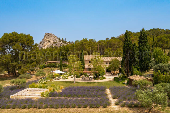 A corner of paradise in the heart of the Alpilles