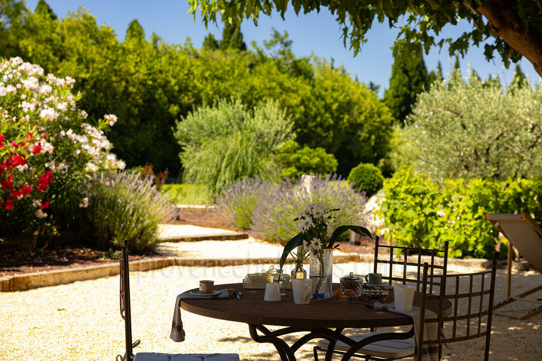 Location de vacances à Saint-Rémy-de-Provence 8 - Mas des deux Mûriers: Villa: Exterior