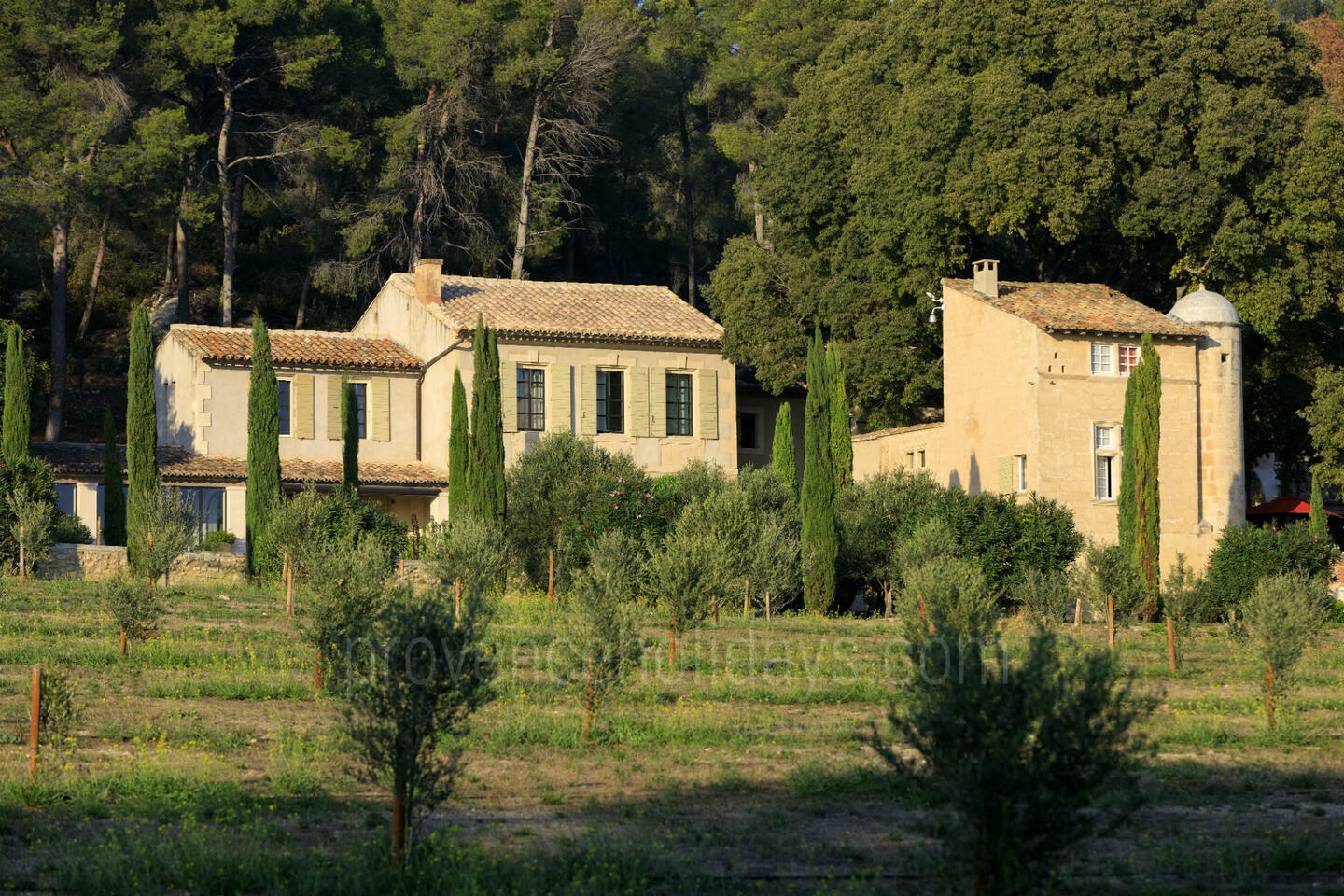 Luxury Holiday Rental with a Heated Pool in the Alpilles 1 - Domaine Bernard: Villa: Exterior