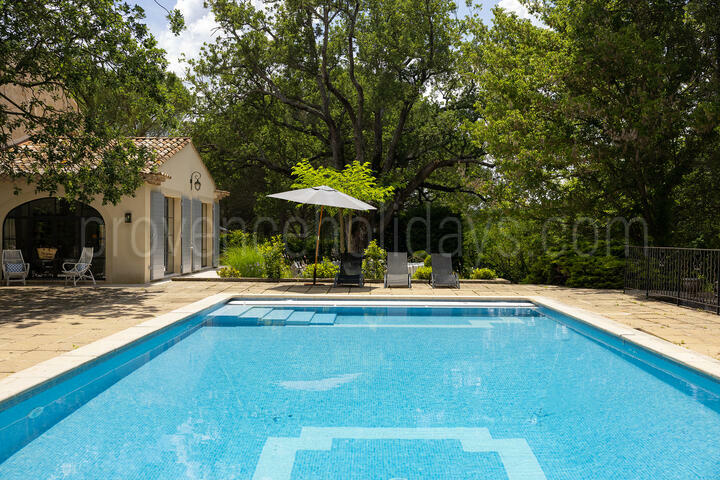 Comfortable Mas with a Lush Garden near Lourmarin 3 - Le Mas d\'Ansouis: Villa: Pool