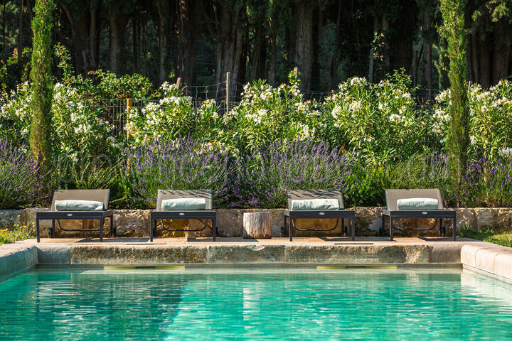 Superbe mas rénové avec piscine chauffée à Saint Rémy de Provence 3 - Mas des Lumières: Villa: Pool