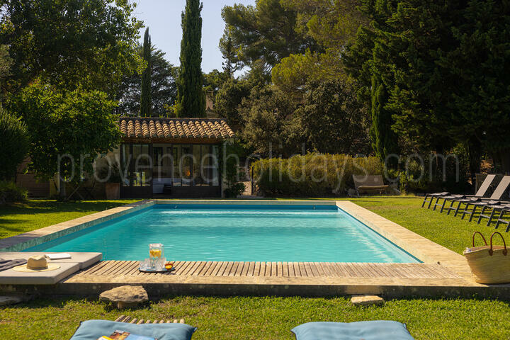 Stunning 17th century Hunting Reserve, surrounded by olive groves in Maussane 2 - Mas du Rosier: Villa: Pool