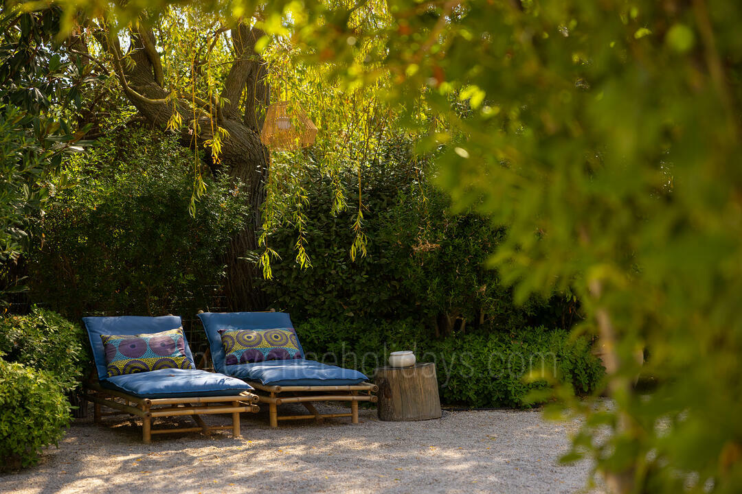 Stunning 17th century Hunting Reserve, surrounded by olive groves in Maussane 7 - Mas du Rosier: Villa: Exterior
