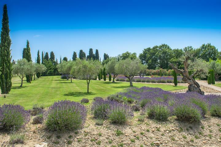 Magnificent Property with Heated Pool and Guest Houses Le Domaine des Alpilles: Exterior - 12