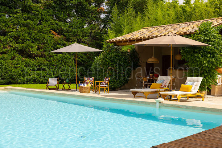 Wunderschönes renoviertes Bauernhaus mit privatem beheiztem Pool 3 - Le Mas d\'Orgon: Villa: Pool